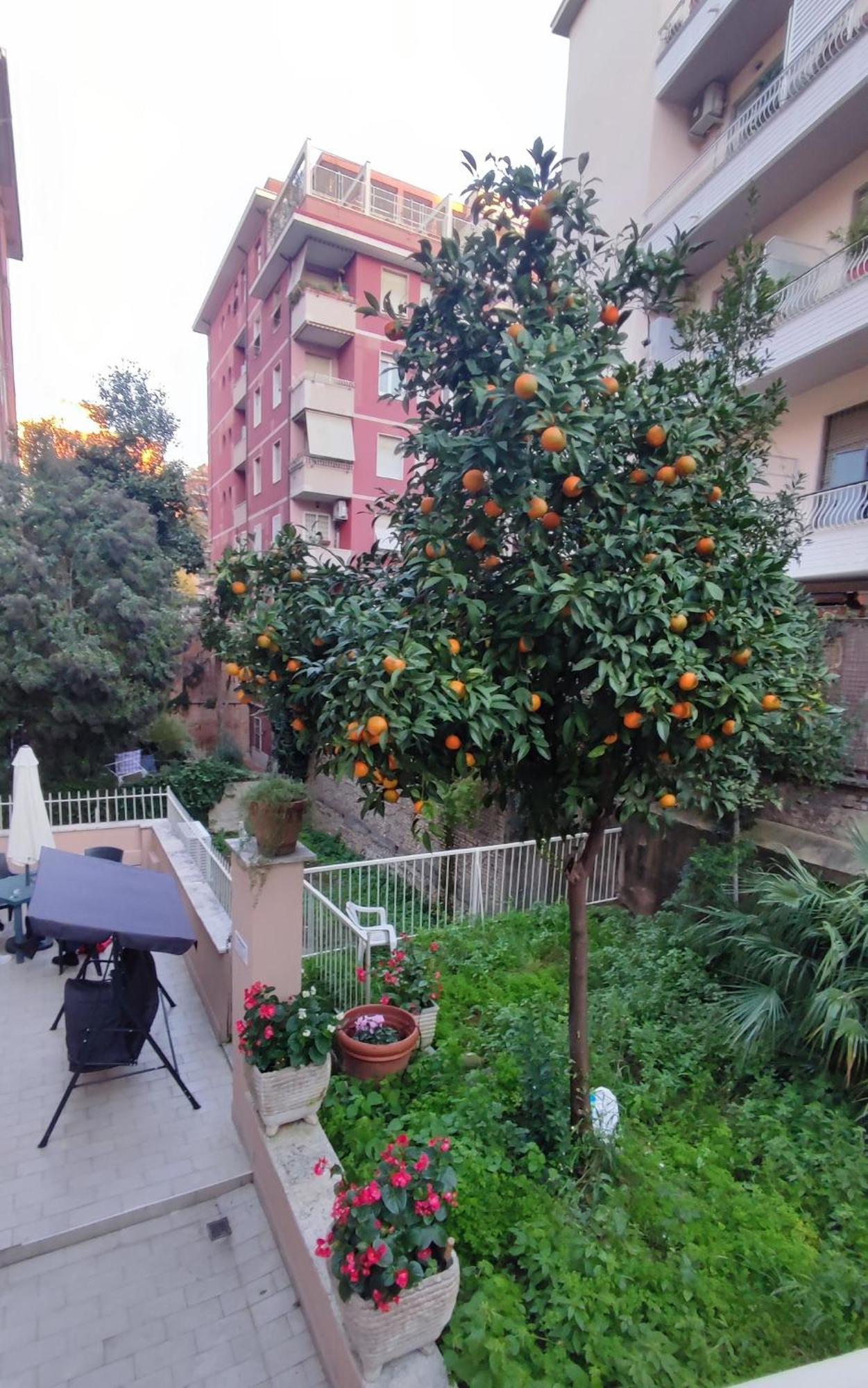 Vatican Green Garden Roma Eksteriør bilde